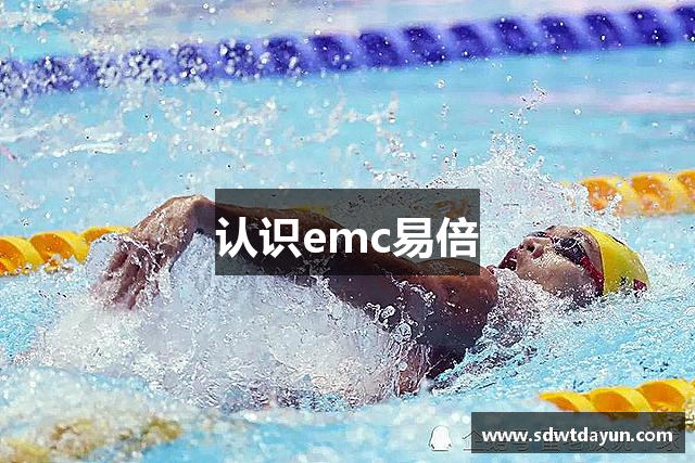 认识emc易倍
